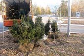 Центральный сквер