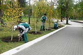 Центральный сквер