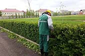 Частные объекты